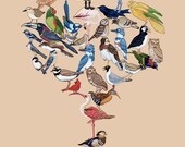 Bird Tree - Fine Art Print 11x17