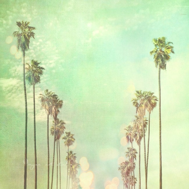 Los Angeles photography, photo of California palm trees in a row La La Land sunny day summer vacation blue mint green sky travel nursery art