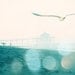 California photography, Manhattan Beach surfers photograph, dreamy seaside seagull, blue teal aqua large beach wall decor, 16x20
