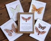 Moth Bookplates - Digital - Printable PDF