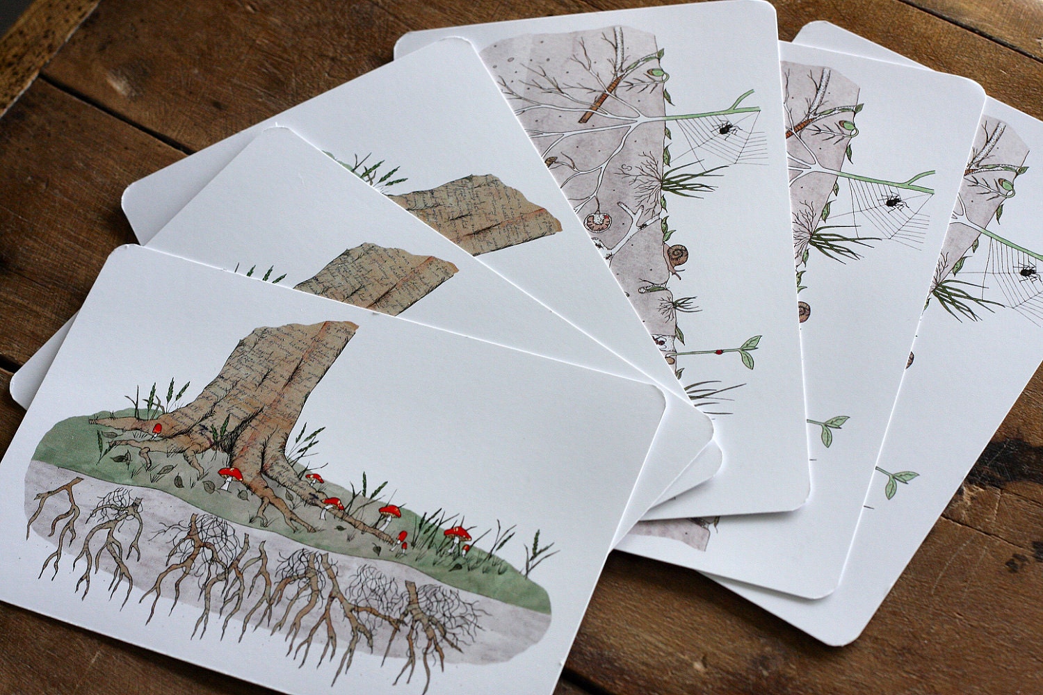Soil Inspired Postcards