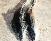 SALE 30% OFF Edgy Long Black, White and Tan Feather Dangling Earrings, Sterling Silver