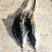 Edgy Long Black, White and Tan Grizzly Feather Dangling Earrings, Sterling Silver
