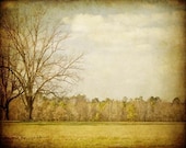 Original Signed Southern Landscape Photograph, Pastoral (3559) 8x10 Fine Art Print by Tricia McKellar