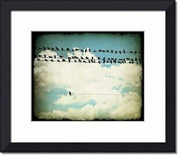 Bird Photography, Many and One (Birds on a Line), 8x10 Fine Art Photograph by Tricia McKellar, Modern Photograph with Vintage Look