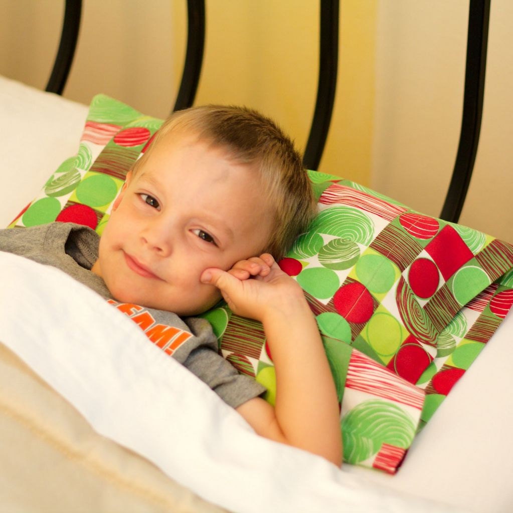 Toddler/Travel Pillowcase - Organic Cotton, Eco Friendly - Travel Sized - Red/Green - Holiday Travel, Christmas Gift