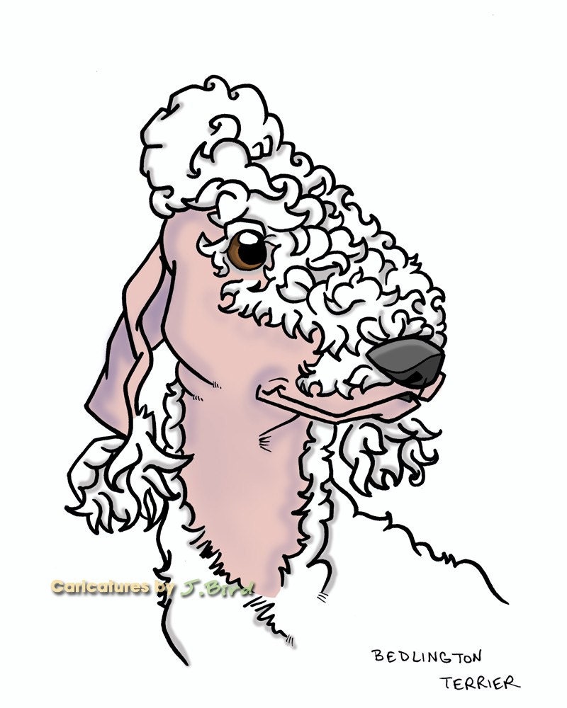 8x10 Bedlington Terrier dogicature print