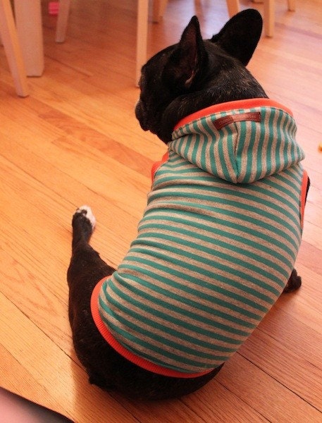 Striped sweatshirt hoodie