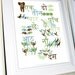 Hindi Numbers Art with Animals, 11 X 14, Dark Green/Light Green/Blue/Brown