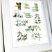 Chinese Numbers Print 8 X 10 with Animal Silhouettes, Dark Green/Light Green/Blue/Brown