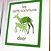 Deer Art Flashcard Style with French and English Names, Other Languages Available, 8 X 10