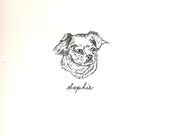 Pet Portrait
