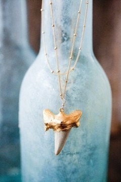 Gold Shark Tooth Necklace