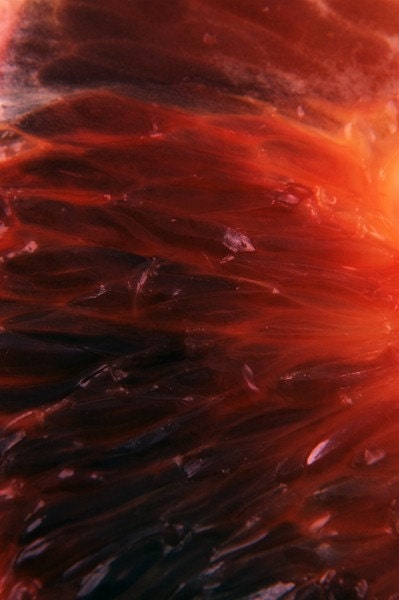 Blood orange