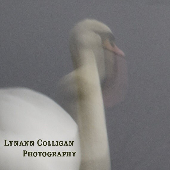 mugdock 11 (Photography, Digital, Impressionism, Home Decor)