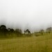 countryside 15 (Photography, Digital, Impressionism, Home Decor)