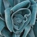 Velvet Ribbon Rose Fabric Flower Teal Hat Corsage Pin Baby Pageant Bridal Hair Accessory Applique