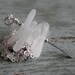 White Seaglass Necklace - The Cortez Collection