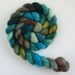 Polworth/ Silk Roving (Top) - Handpainted Spinning or Felting Fiber, Michaux