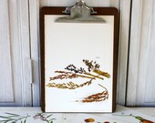 Vintage Book Page - Vintage Illustrations - 1965- Sorghum, Rice - For Framing, Decoupage, Mixed Media, Assemblage, Collage