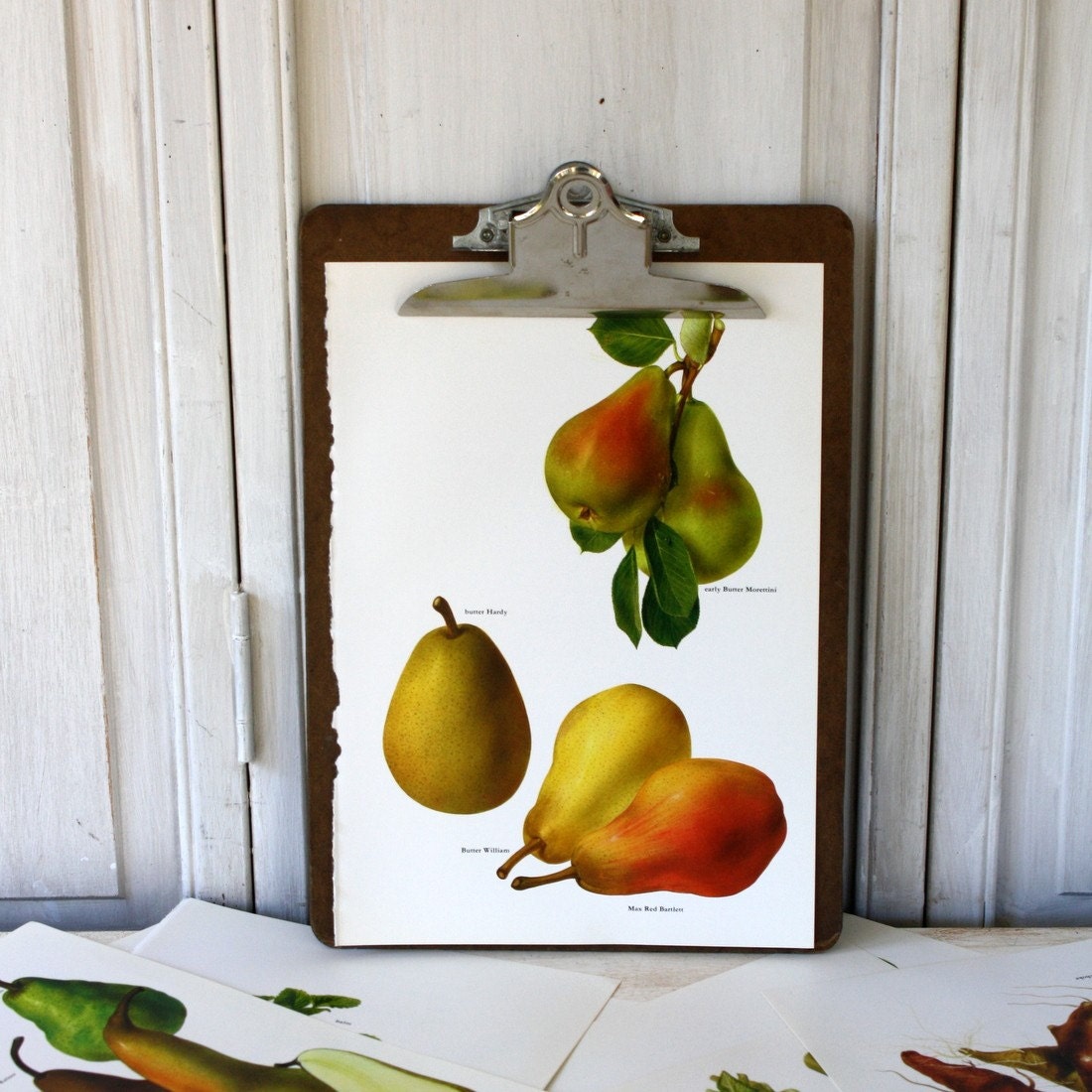 Vintage Book Page - 1965 -  Pears