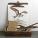Storm Petrel - Vintage Bird Plate - 1974