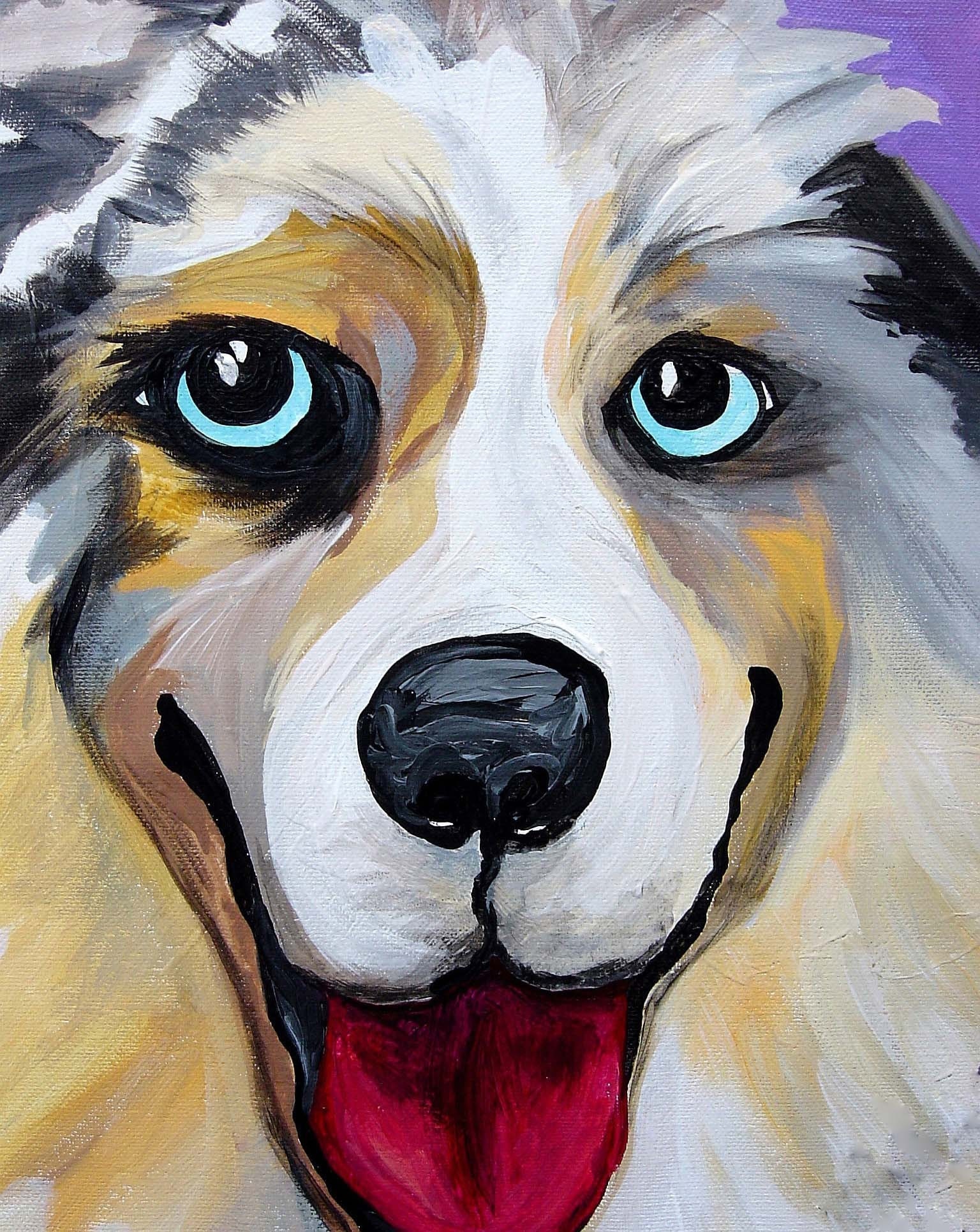 Australian Shepherd with sparkle and pizzazz