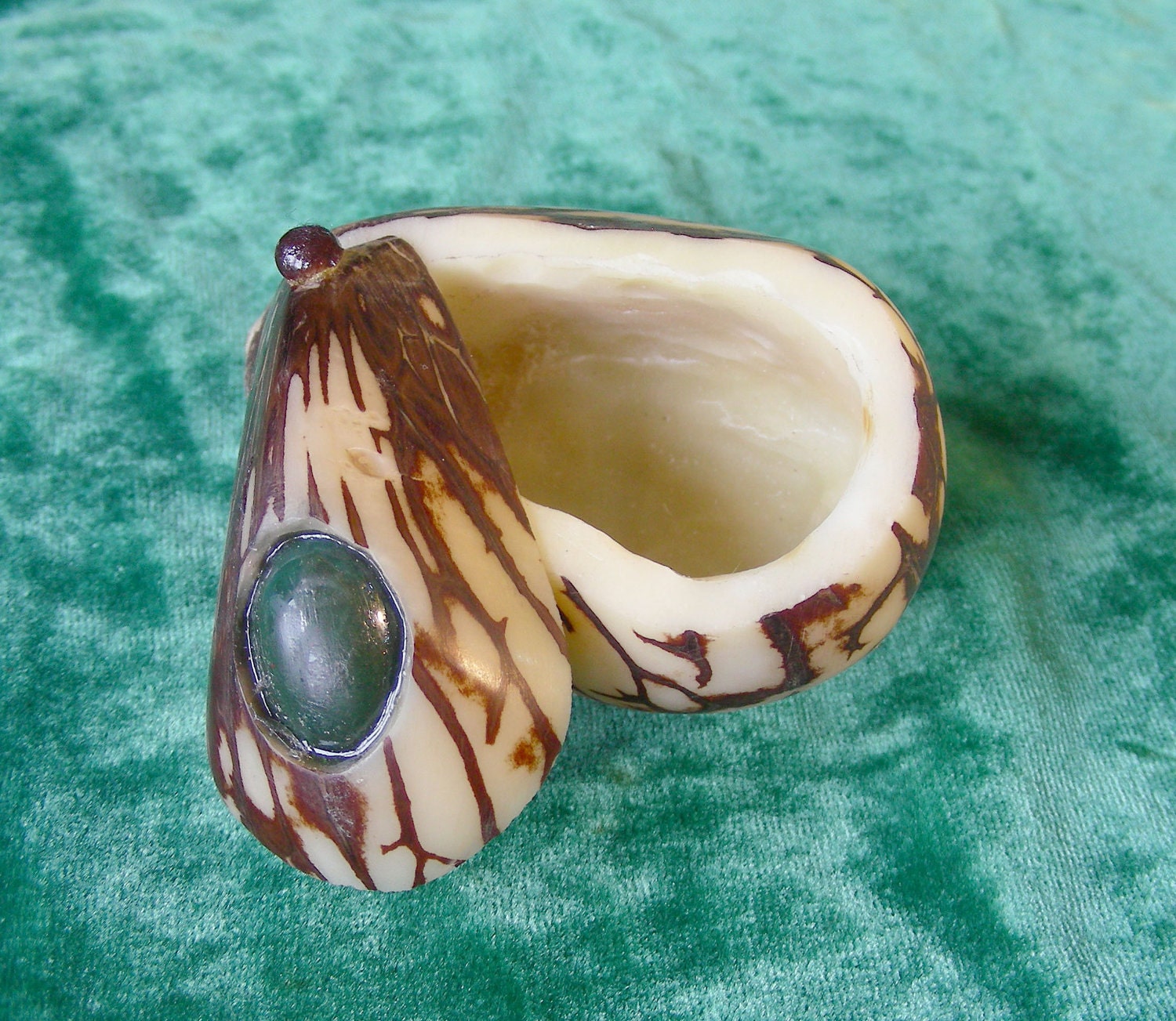 Tagua Nut Box/Bloodstone Box-Xtra Large Size-OlyTeam