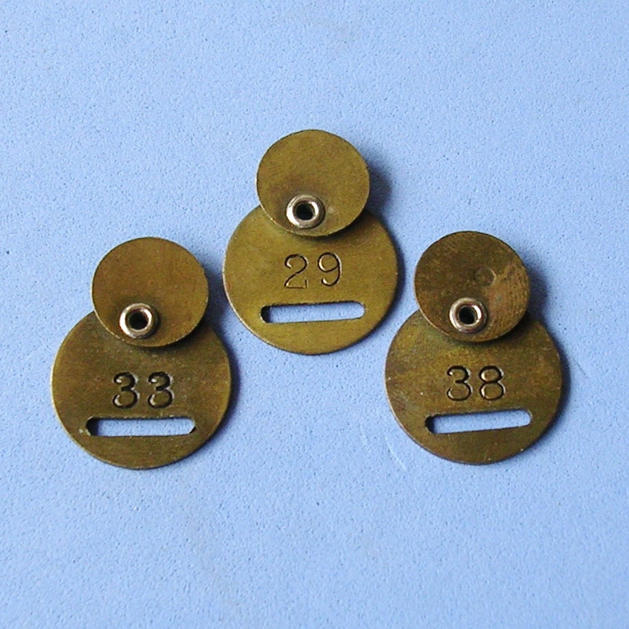 Vintage Mini Brass Tag Tags Number Tags Brass Numbered Tag Tags Hotel Room Number Tag Locker Tag DIY Jewelry Steampunk