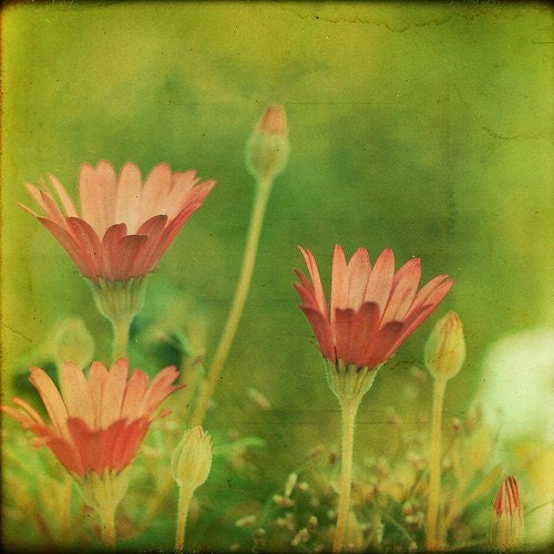 From Your Head To Your Toes 8x8 Print