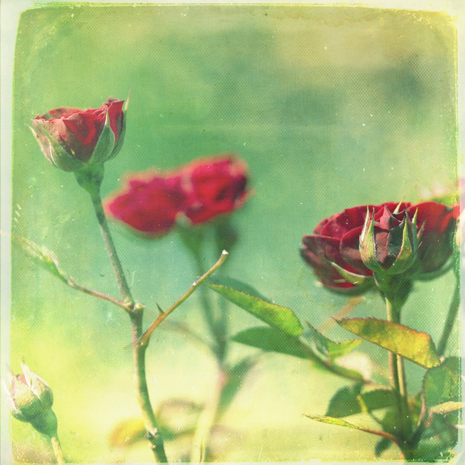 Don't Be Late  6x6 Print