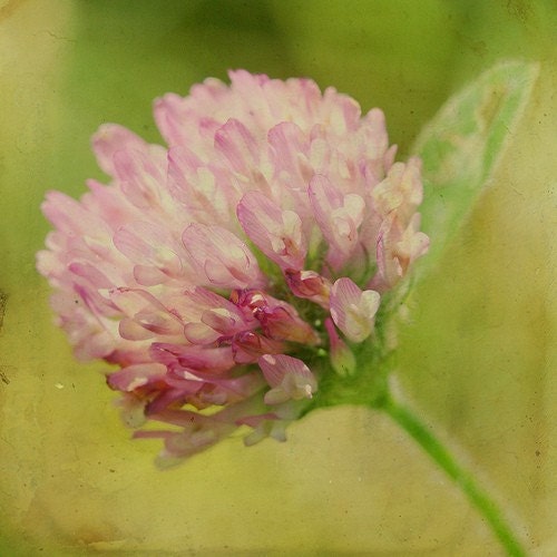 True Self 8x8 Print