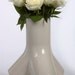 Firevase