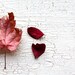 Ode to Autumn 8x10 Fine Art print