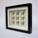 Cities of Europe - Butterfly Framed art