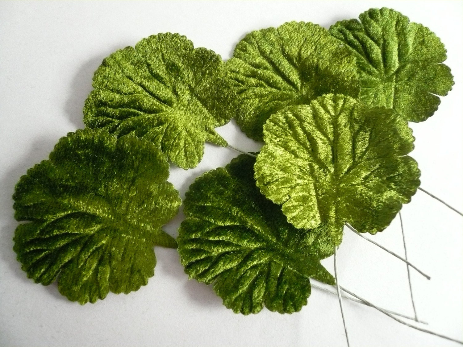 Vintage Moss Green Velvet Geranium Leaves - papertales