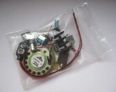 DIY Kit: Portable Guitar Amp, Headphone Amp, MP3 Amp w/ Speaker, Volume Control, & 10X Gain