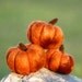Pumpkin Needle felting kit's extra wool to make 3 more pumpkins