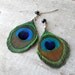 Peacock Feather Earrings