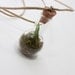 Mini Terrarium Necklace