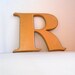 RESERVE for EMtanner vintage sign letter R
