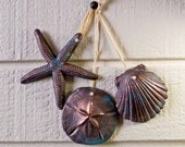 Favors Beach Themed Wedding Starfish Sand Dollar Shell (Set of three)