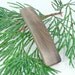 Medium Wood Hair Clip, Oregon-Myrtlewood, wooden hair accessory, wood jewelry, hair barrette, hair toy, Oregon Coast, wood hairclip