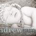 birth announcement - classic meets modern.