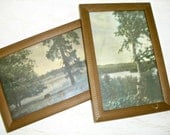 vintage nature prints in gold frames by M L Oakes - San Diego