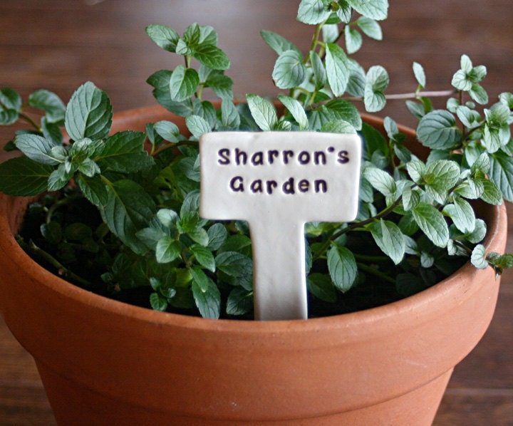 Personalized Custom Name Little Sign Marker Stake for Garden, Plant Pot or Terrarium - Custom Made to Order