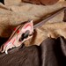 Coyote skull rattle - real coyote skull painted and sealed with deerskin stitch-wrapped handle with leather and coyote claw accent