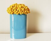 craspedia cluster