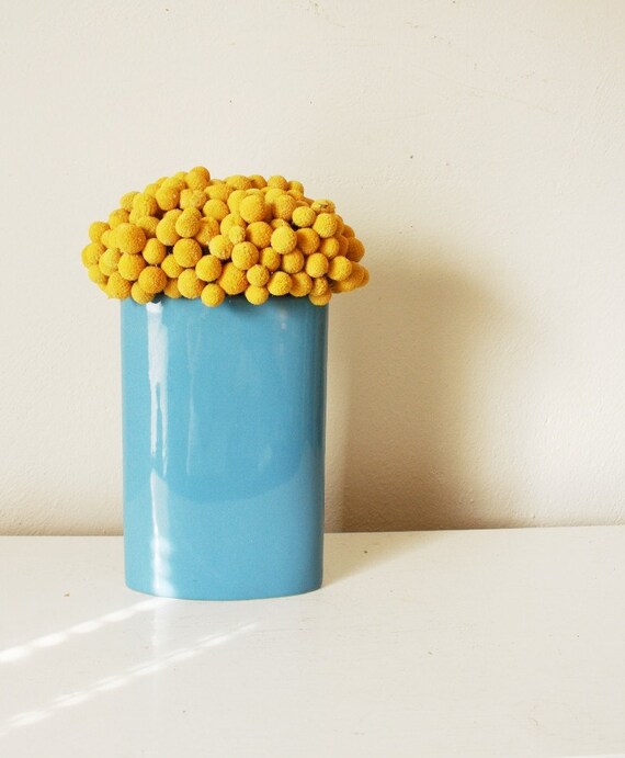 craspedia cluster
