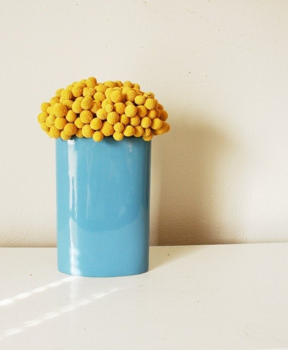 craspedia cluster